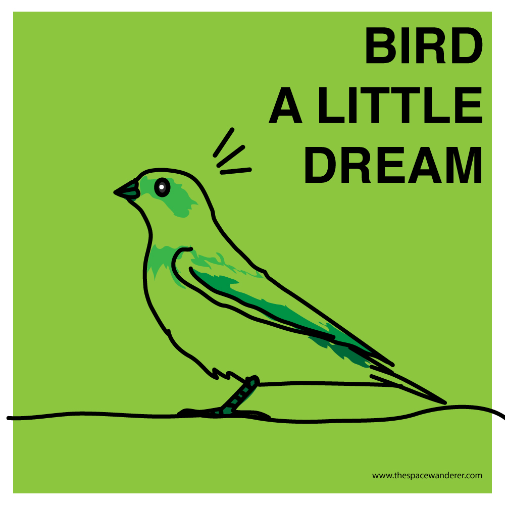 bird a little dream