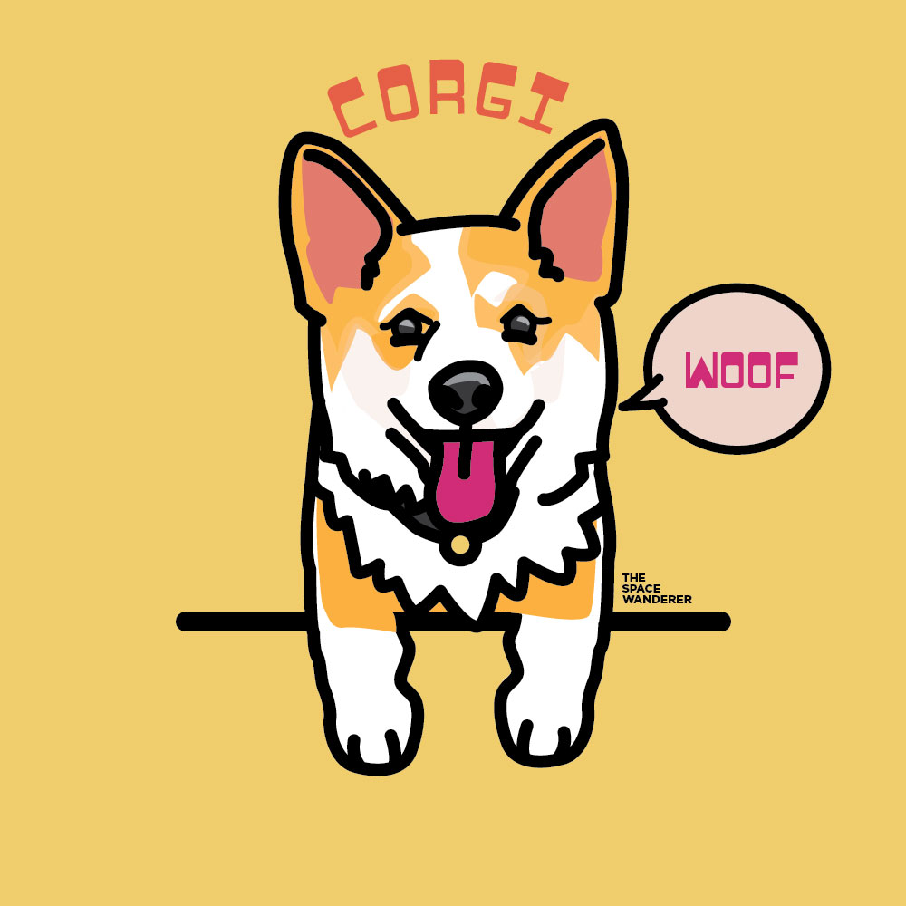 Corgi Puppy Illustration