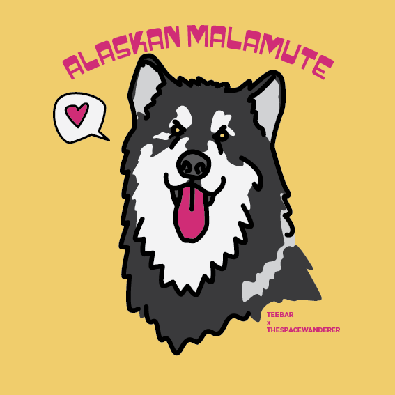 Alaskan Malamute illustration