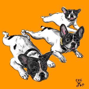 Drawing french bulldog